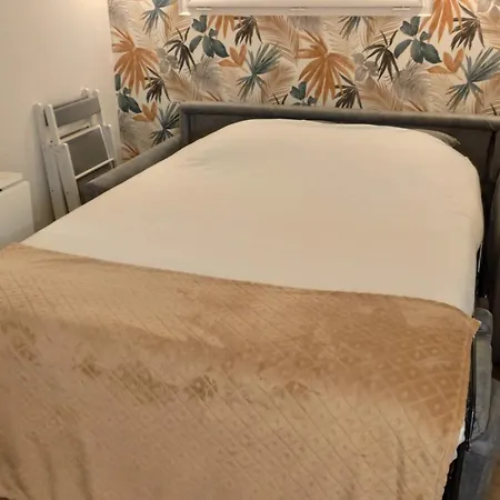 Cosy Proche Futuroscope Apartment *